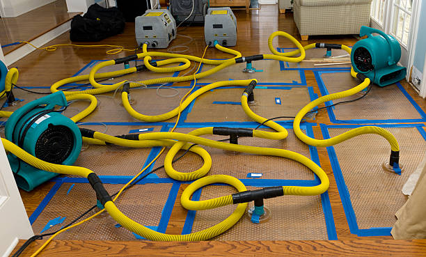 Professional Basement Flood Cleanup technician working in Glenwood, WA